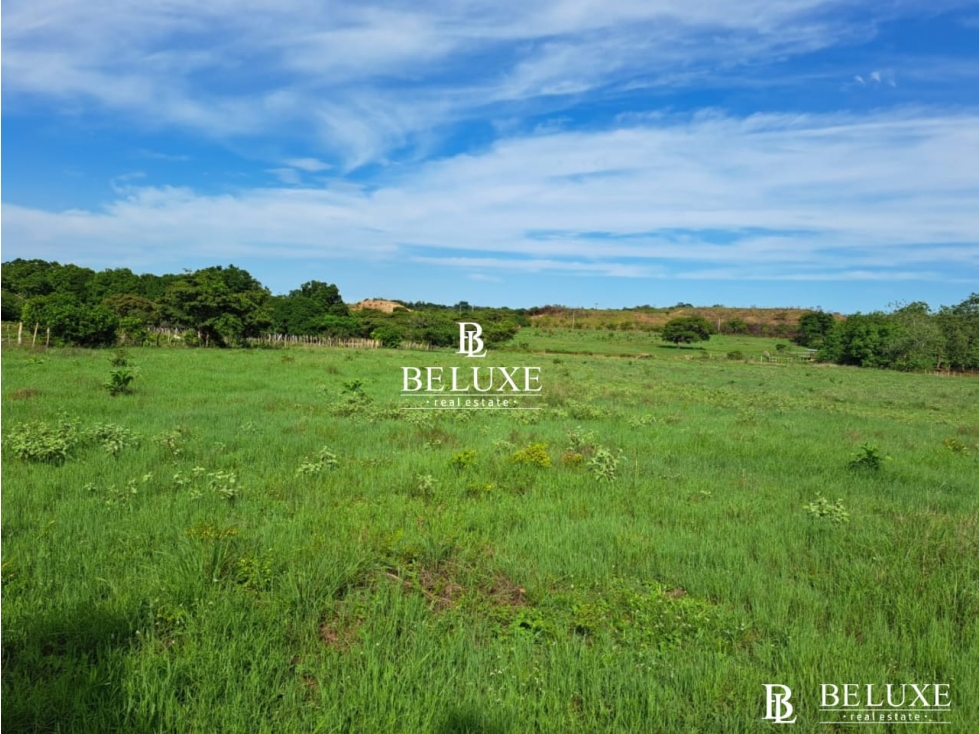 VENDO TERRENO EN AGUADULCE COCLE (6) — foto 6