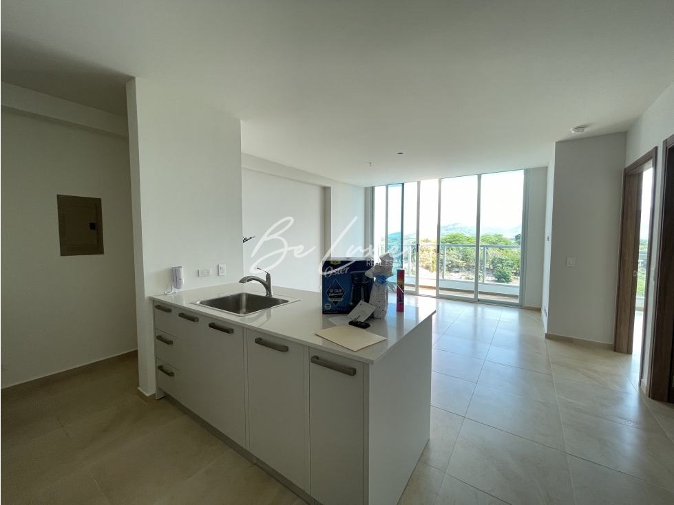 ROYAL PALM APARTAMENTO EN VENTA, PLAYA GORGONA (2) - 2