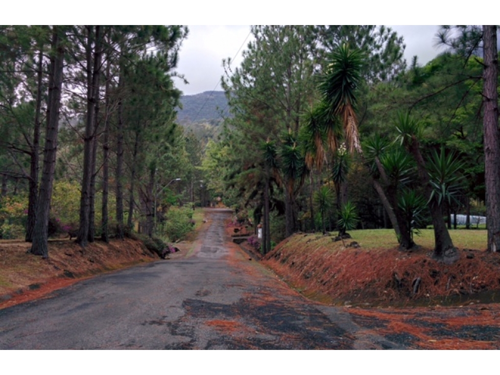 VENTA DE TERRENO EN ALTOS DEL MARÍA, RESIDENCIAL VALLE EL LAUREL (13) — foto 2