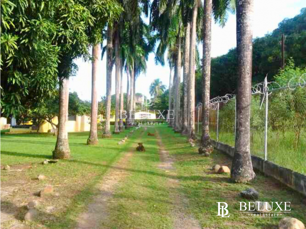 VENDO TERRENO EN GORGONA (6) — foto 5