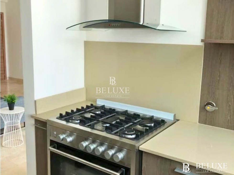VENDO APARTAMENTO EN PH DYNASTY EN BELLA VISTA (6) — foto 4