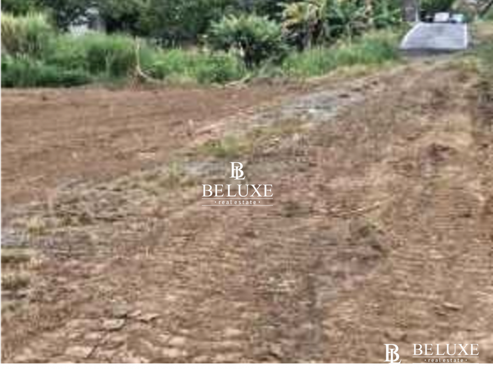 VENTA DE TERRENO COMERCIAL EN LAS MAÑANITAS TOCUMEN (6) — foto 2