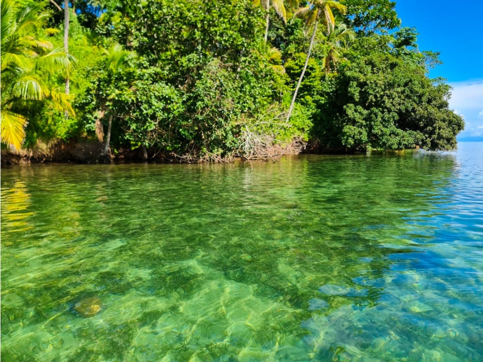 VENTA DE TERRENO FRENTE AL MAR, ISLA POPA, BOCAS DEL TORO(13) - 6
