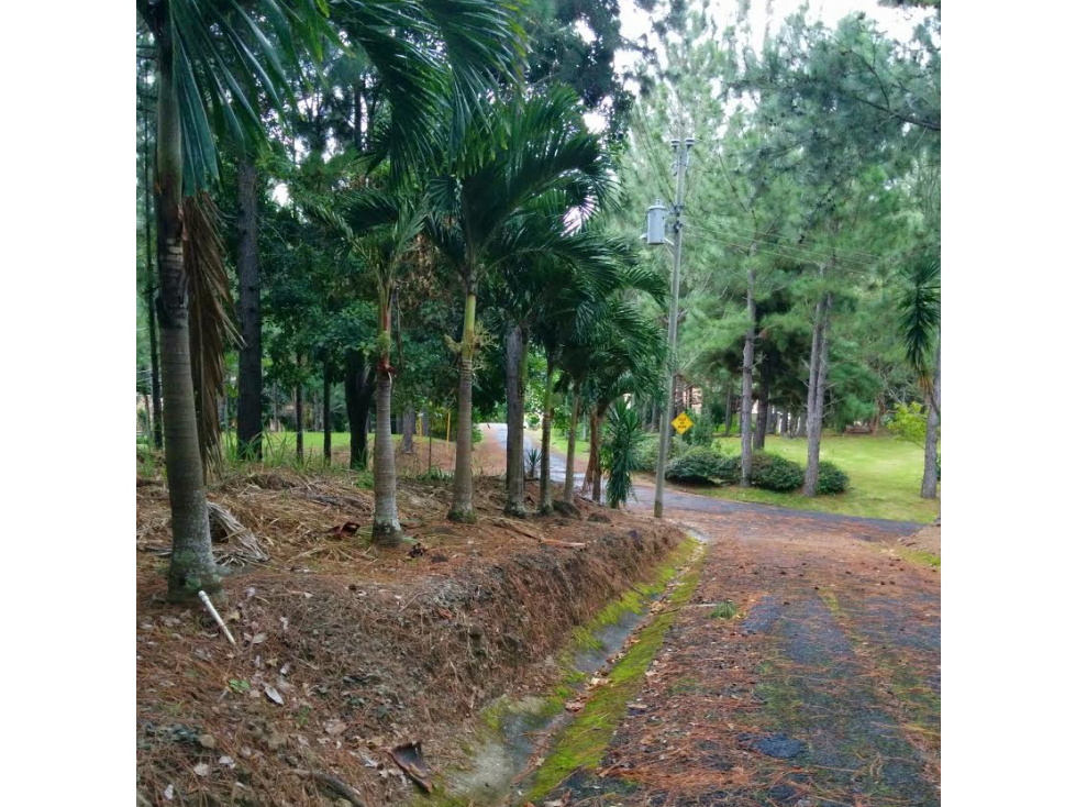VENTA DE TERRENO EN ALTOS DEL MARÍA, RESIDENCIAL VALLE EL LAUREL (13) — foto 3
