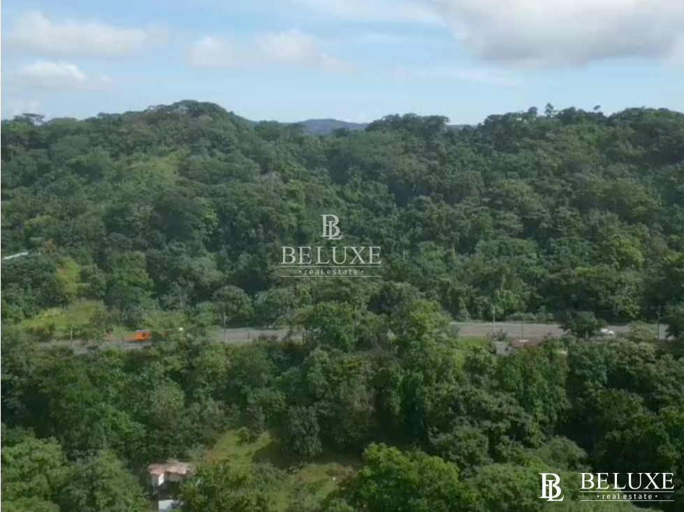 VENDO TERRENO EN COLÓN, OPORTUNIDAD DE INVERSIÓN (13) - 5