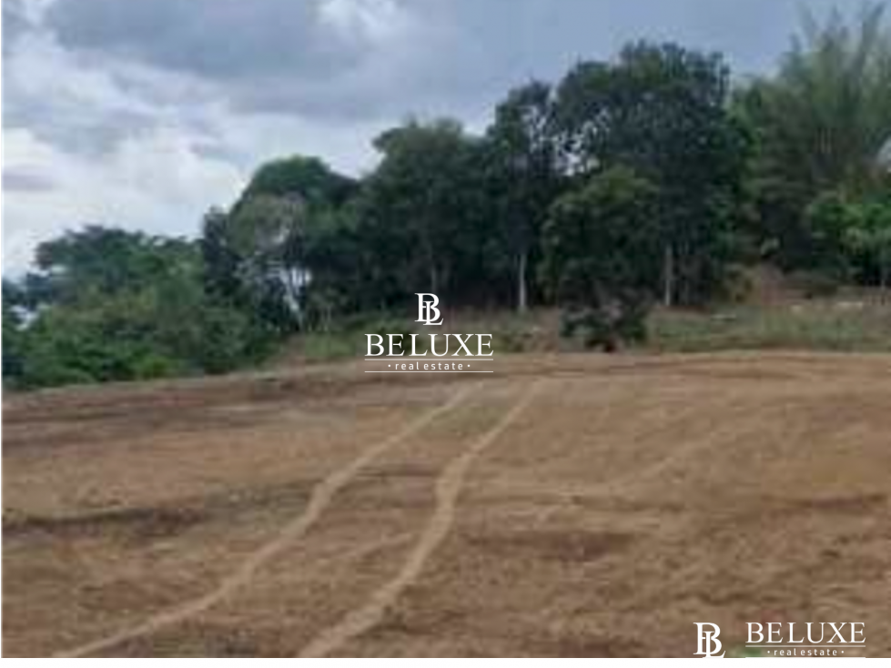 VENTA DE TERRENO COMERCIAL EN LAS MAÑANITAS TOCUMEN (6) — foto 3