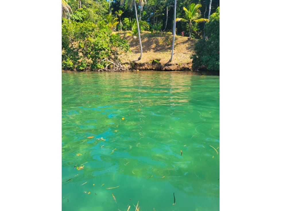 VENTA DE TERRENO FRENTE AL MAR, ISLA POPA, BOCAS DEL TORO(13) - 5