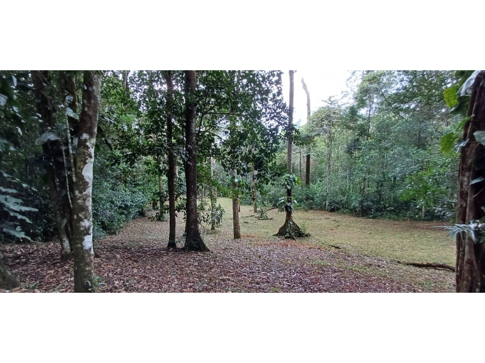 VENTA DE TERRENO ALTOS DE CERRO AZUL (13)