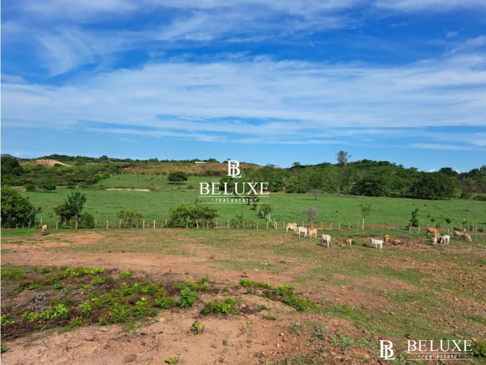 VENDO TERRENO EN AGUADULCE COCLE (6) — foto 5
