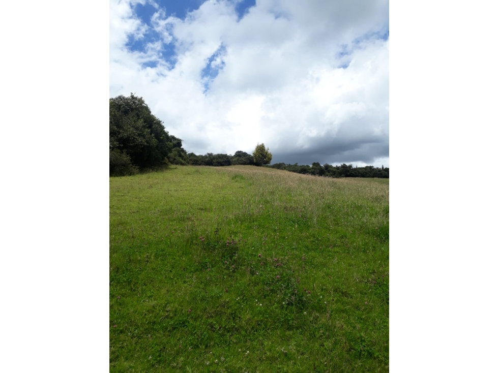 Vendo lote en Tabio Rio Frio Oriental - 1