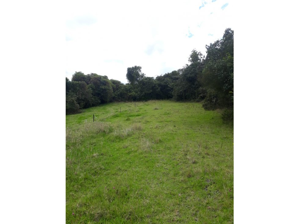 Vendo lote en Tabio Rio Frio Oriental - 2