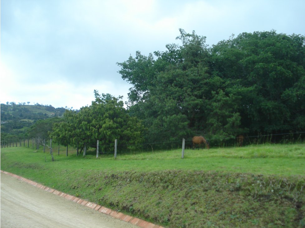 Vendo Lote Altos de Yerbabuena alta valorizacion — foto 3