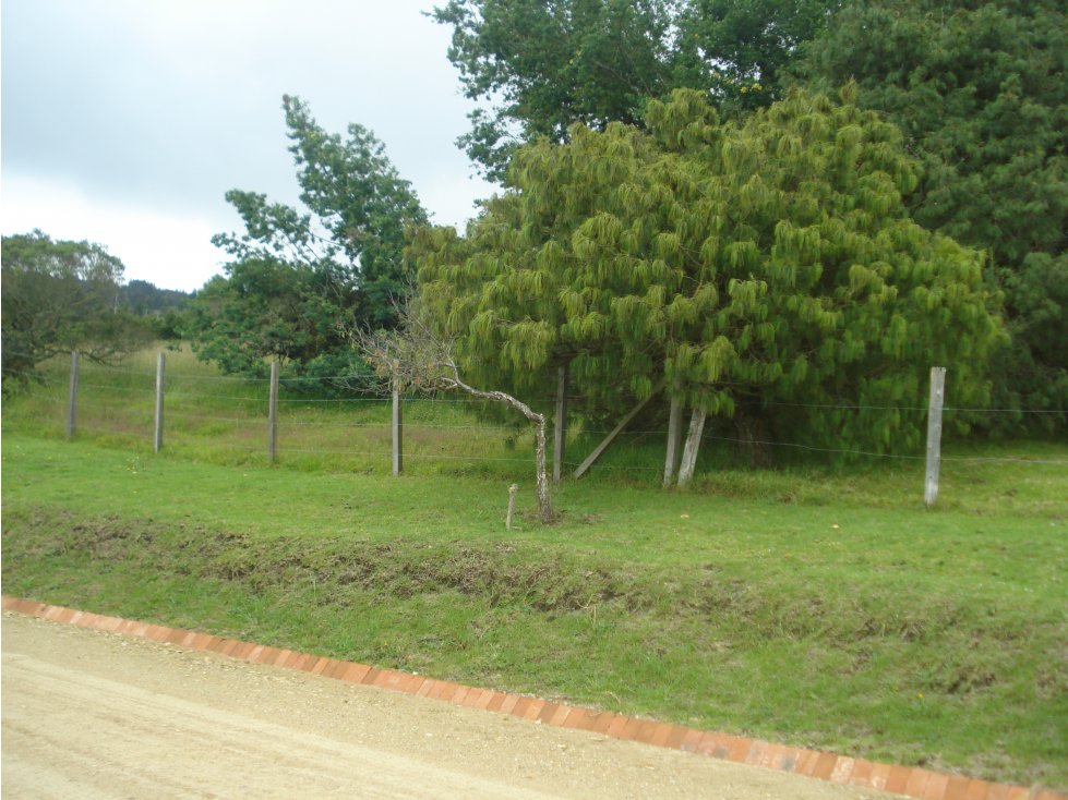 Vendo Lote Altos de Yerbabuena alta valorizacion — foto 5