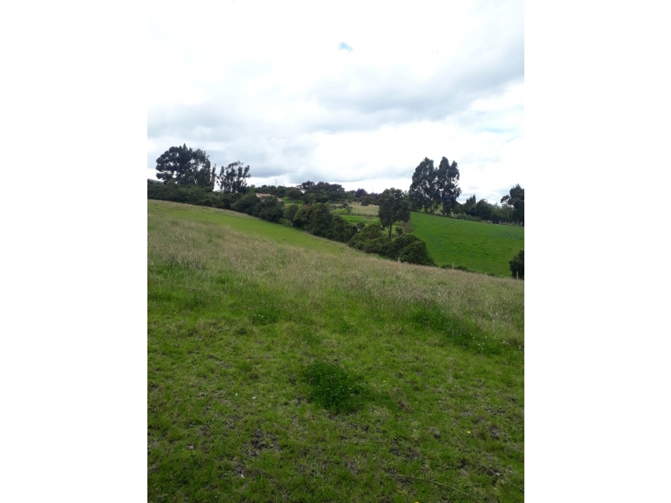 Vendo lote en Tabio Rio Frio Oriental - 4