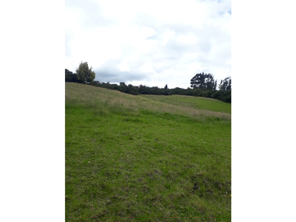 Vendo lote en Tabio Rio Frio Oriental - 5