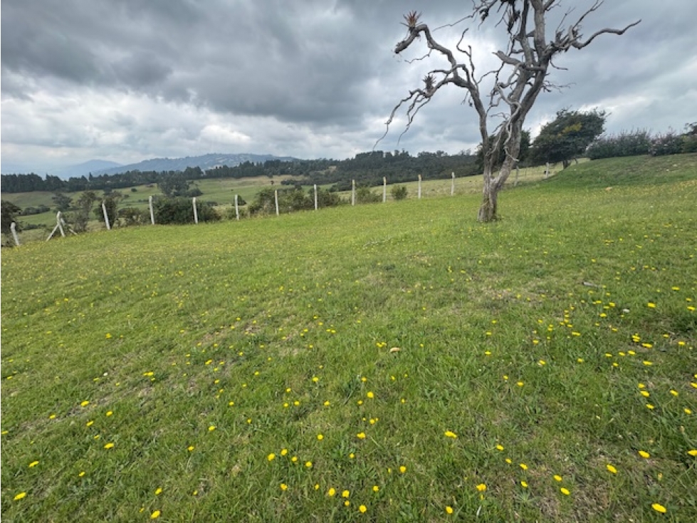 Vendo lote en Yerbabuena Chia Montevioleta — foto 5