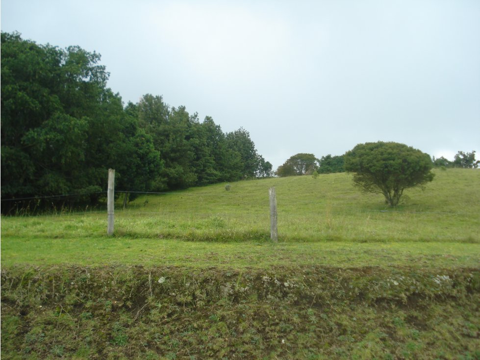 Vendo Lote Altos de Yerbabuena alta valorizacion — foto 2