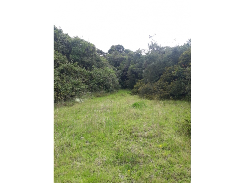 Vendo lote en Tabio Rio Frio Oriental - 6