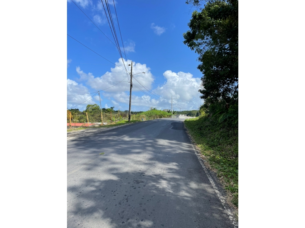 SE VENDE DOS TERRENOS DE ESQUINA EN EL LIMON - PROVINCIA DE COLON - 2