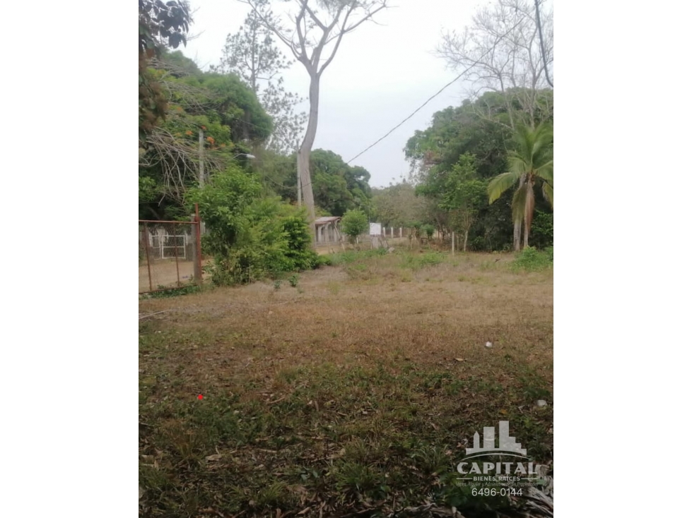 TERRENO EN RIO HATO - LOS POLLOS - 2