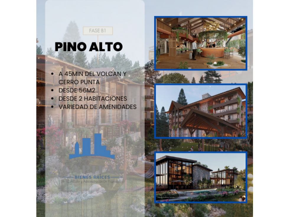 Pino Alto Boquete, Chiriquí