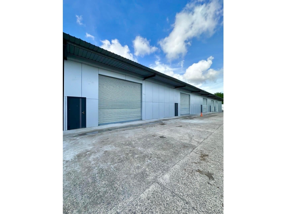 SE ALQUILA GALERA EN TOCUMEN / 80M2