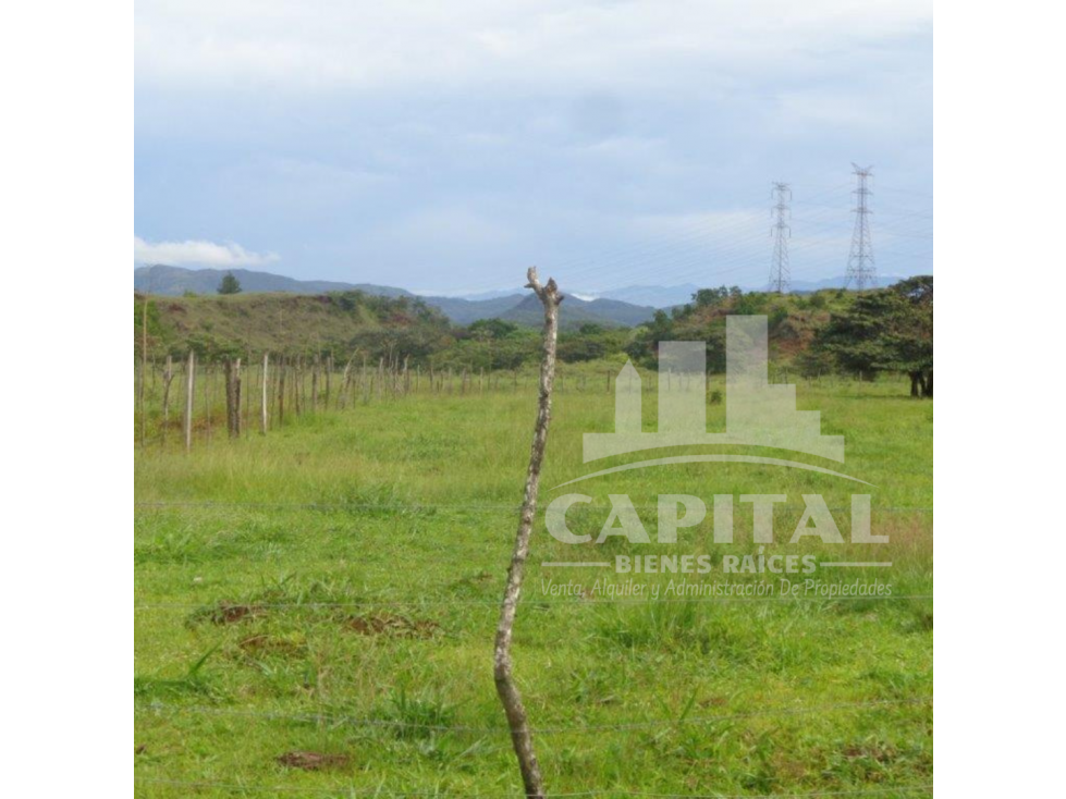 SE VENDE FINCA GANADERA EN DOS BOCAS - SONÁ - 3