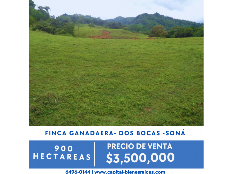 SE VENDE FINCA GANADERA EN DOS BOCAS - SONÁ - 1