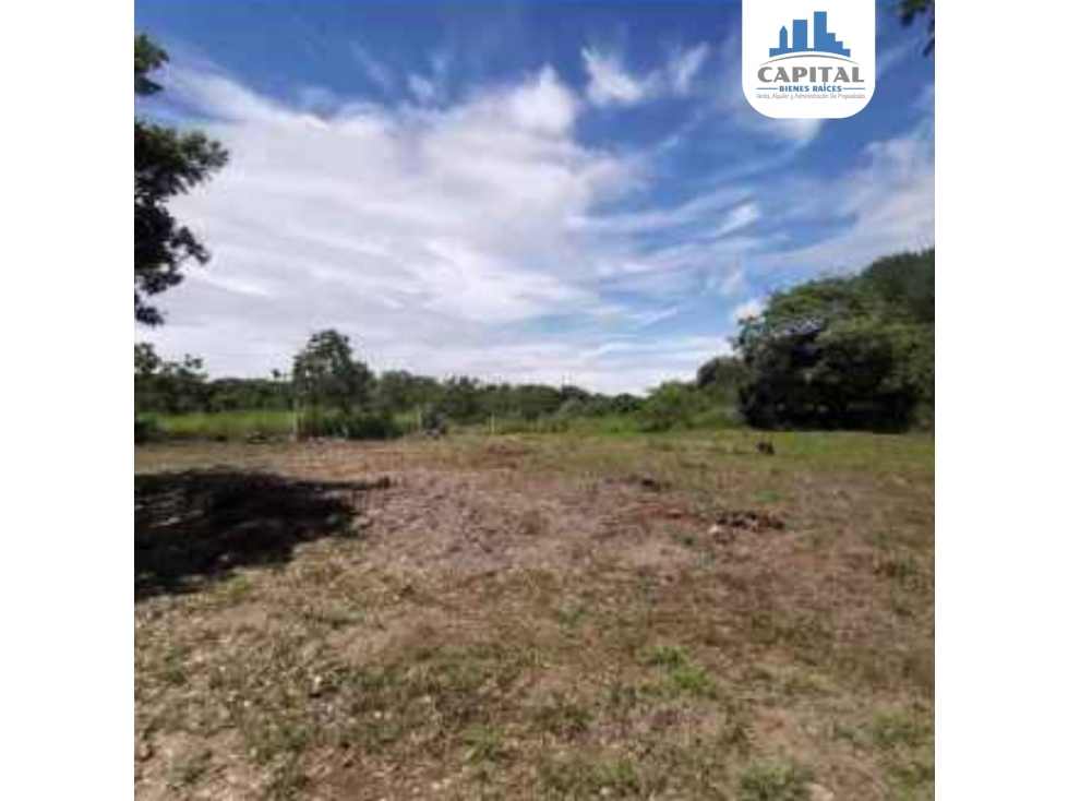 TERRENO EN LAGO MAR - SAN CARLOS — foto 4