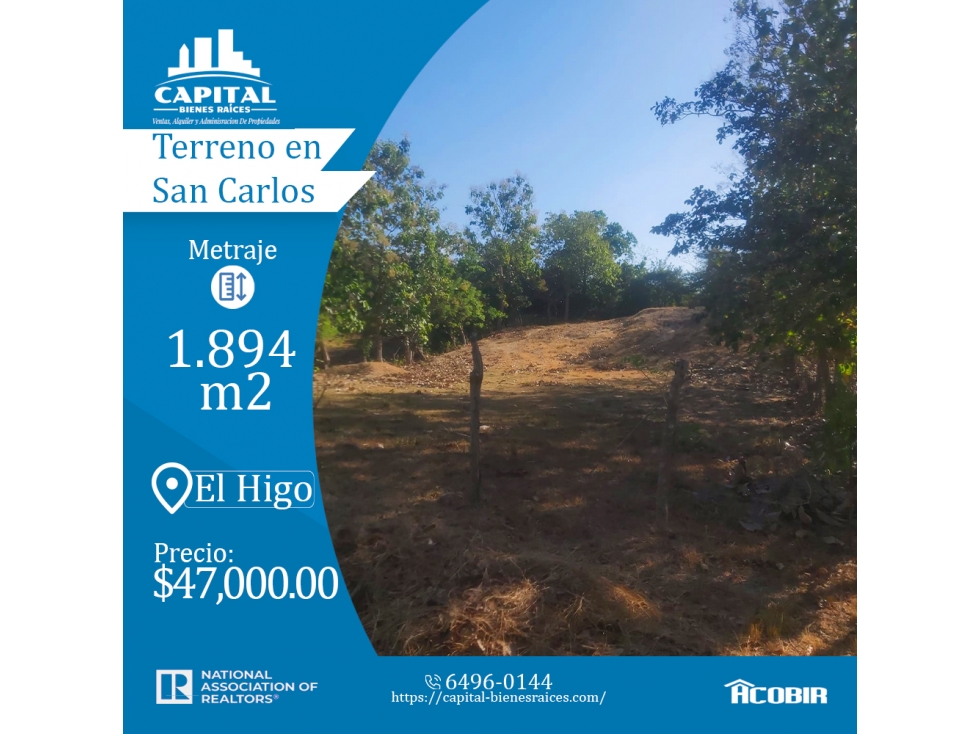 TERRENO EN SAN CARLOS - EL HIGO