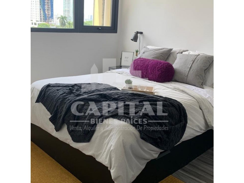 APARTAMENTOS CON ACCESO DIRECTO AL PARQUE OMAR — foto 4