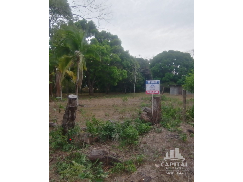 TERRENO EN RIO HATO - LOS POLLOS - 3