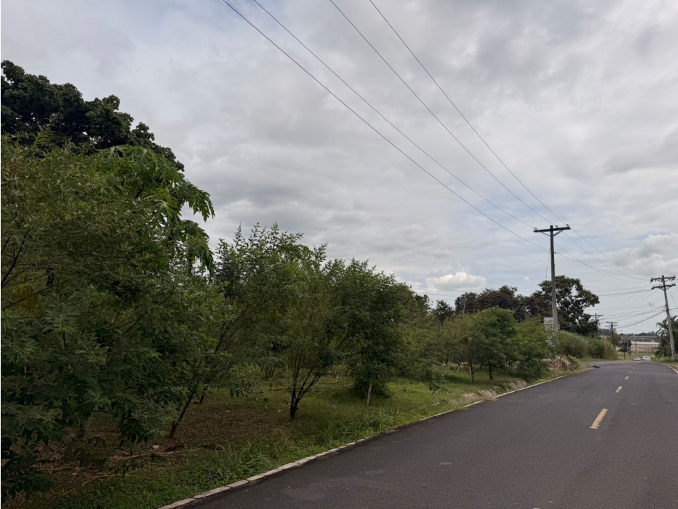 TERRENO EN VIA TOCUMEN DETRAS DE LA DOÑA — foto 3