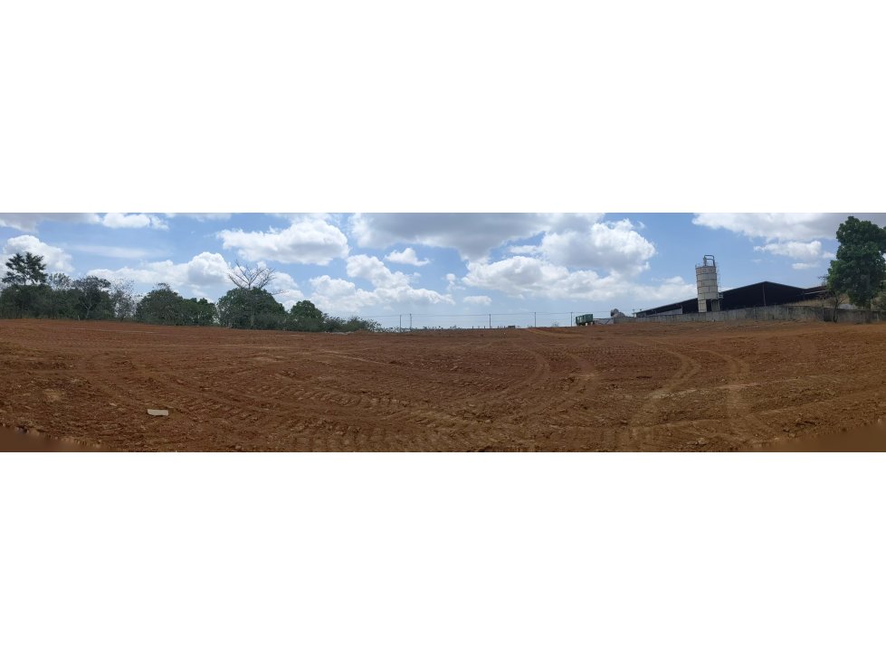 TERRENO A ORILLA DE LA PANAMERICANA - TANARA - 5