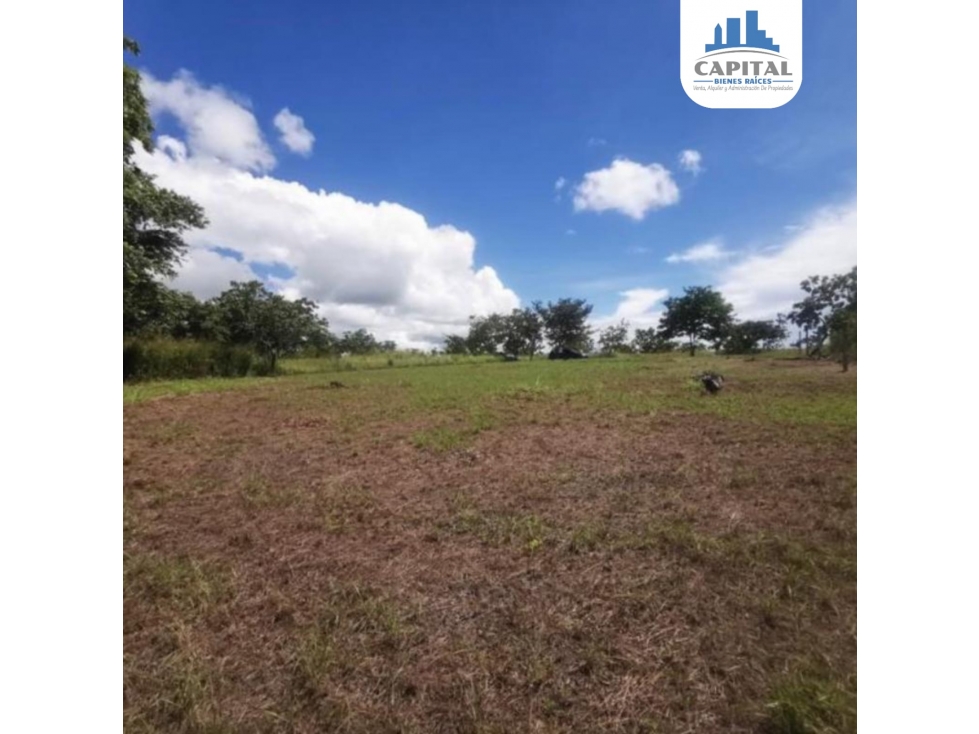 TERRENO EN LAGO MAR - SAN CARLOS — foto 5
