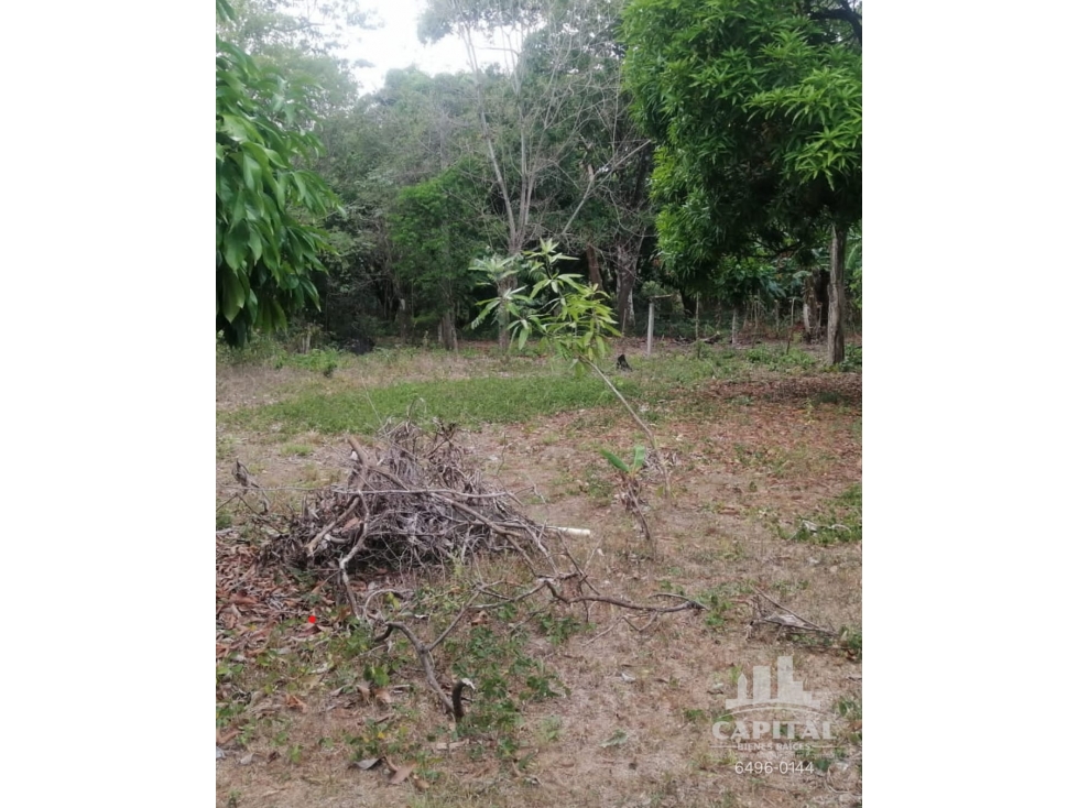 TERRENO EN RIO HATO - LOS POLLOS - 4