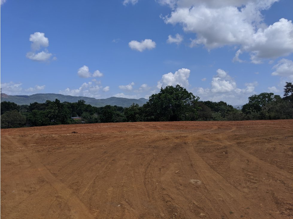 TERRENO A ORILLA DE LA PANAMERICANA - TANARA - 6