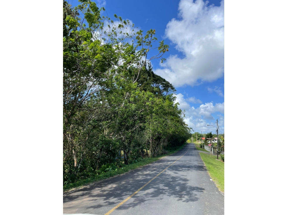 SE VENDE DOS TERRENOS DE ESQUINA EN EL LIMON - PROVINCIA DE COLON - 5