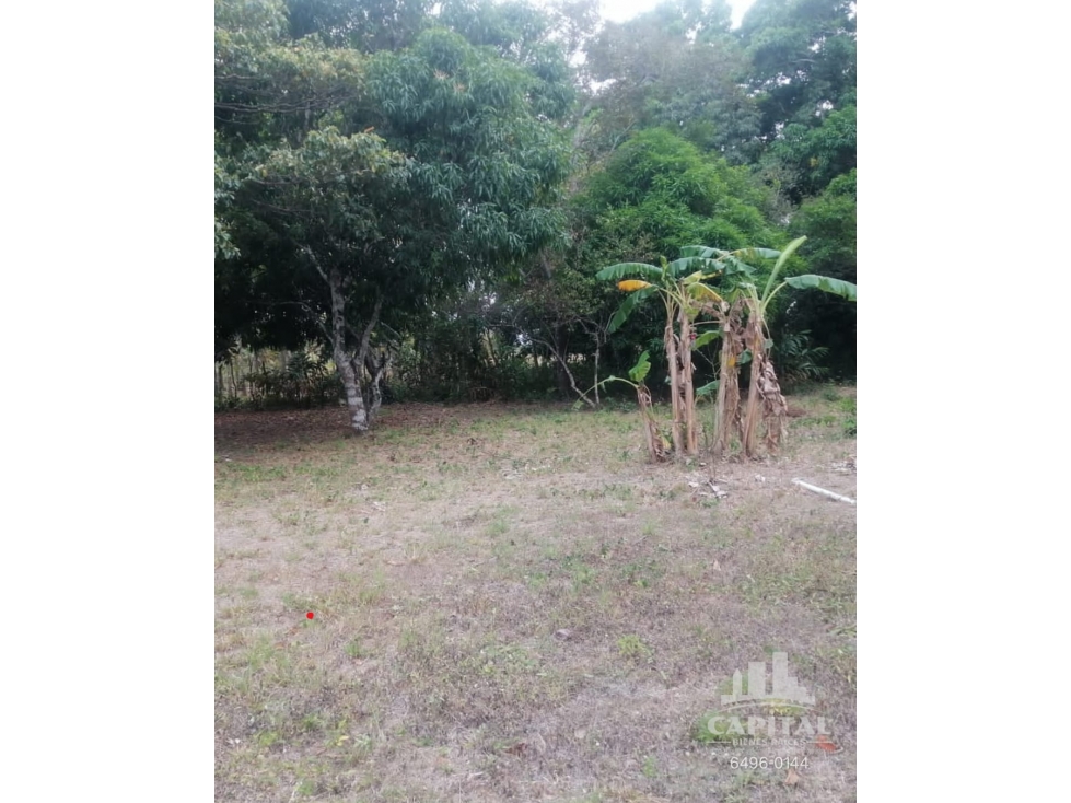 TERRENO EN RIO HATO - LOS POLLOS - 5