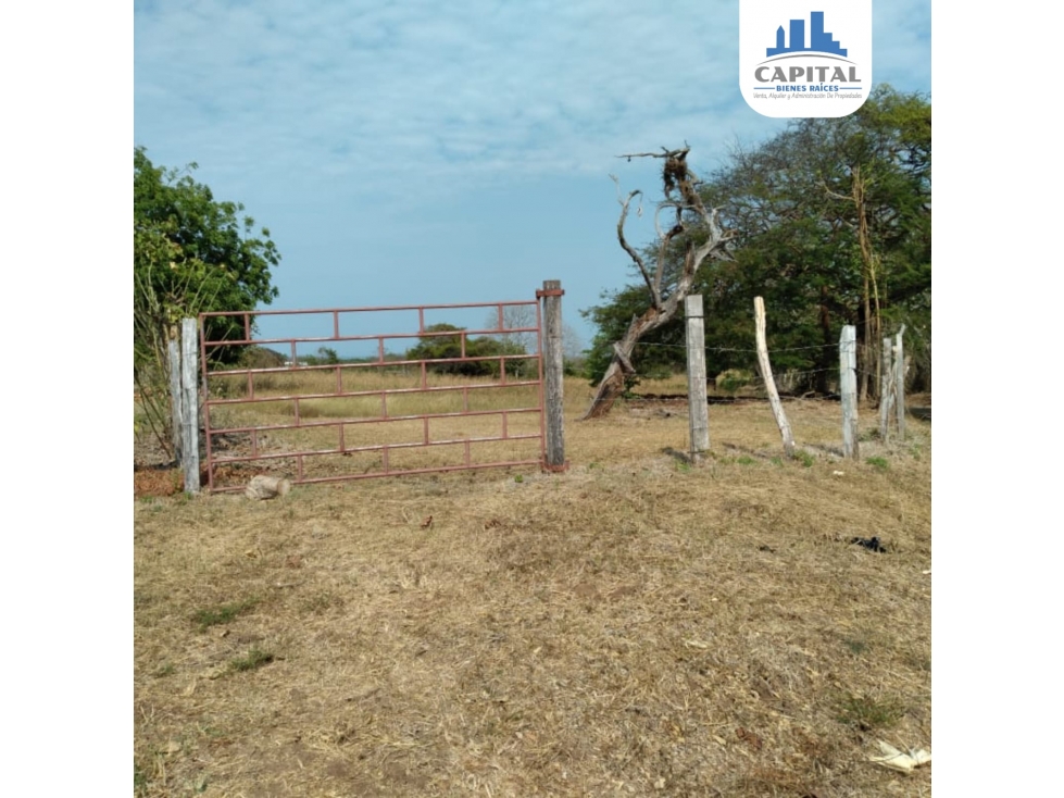 SE VENDE TERRENO EN LOS SANTOS - VIA A PLAYA LAS COMADRES - 5