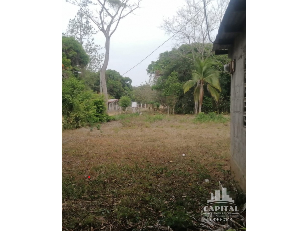 TERRENO EN RIO HATO - LOS POLLOS - 6