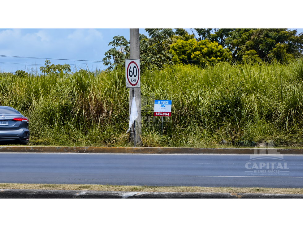 SE VENDE TERRENO EN AUTO MOTOR, A ORILLA DE LA VÍA TOCUMEN - 1