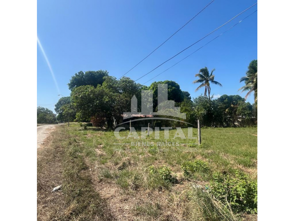 SE VENDE TERRENO EN RIO HATO - ANTON - 4