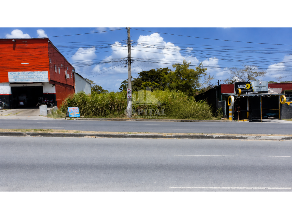 SE VENDE TERRENO EN AUTO MOTOR, A ORILLA DE LA VÍA TOCUMEN - 3