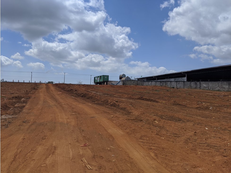 TERRENO A ORILLA DE LA PANAMERICANA - TANARA - 3