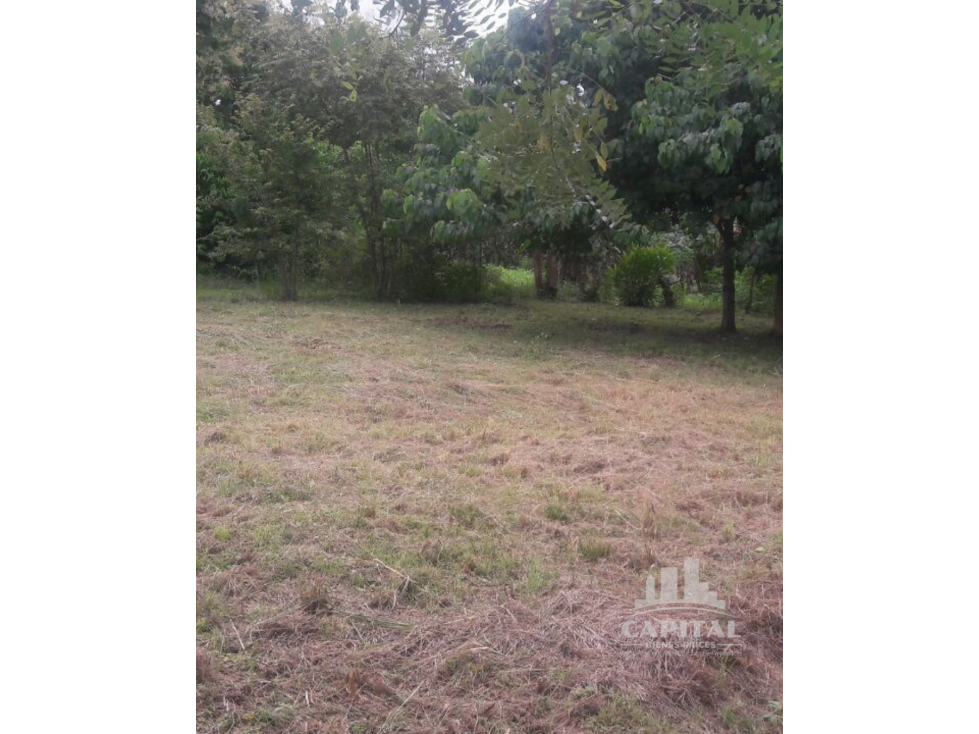 TERRENO EN URB. VALLE DE TOSCANA - ANTON - 4