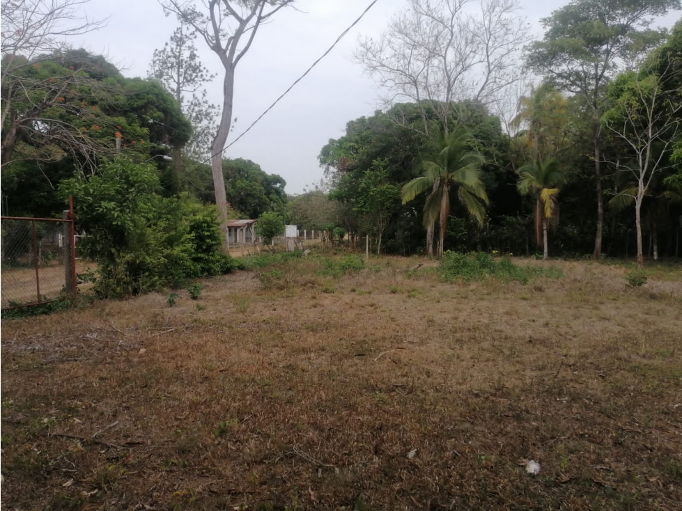 TERRENO EN RIO HATO - LOS POLLOS - 1