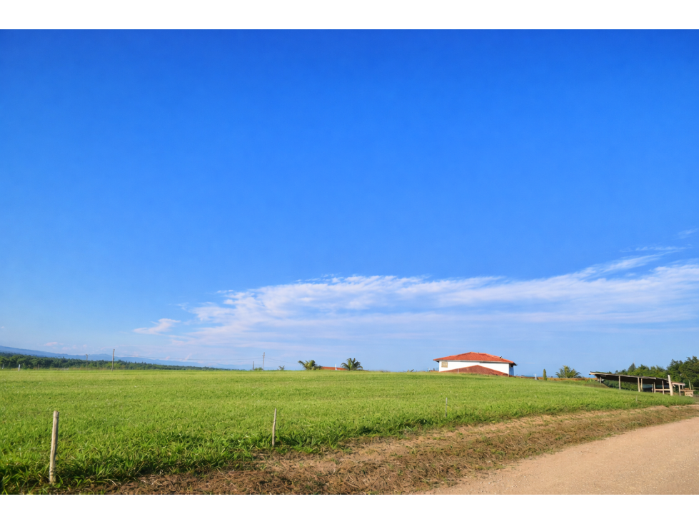 SE VENDE LOTE CAMPESTRE EN CIUDAD VERDE POPAYÁN W9949995CM — foto 4