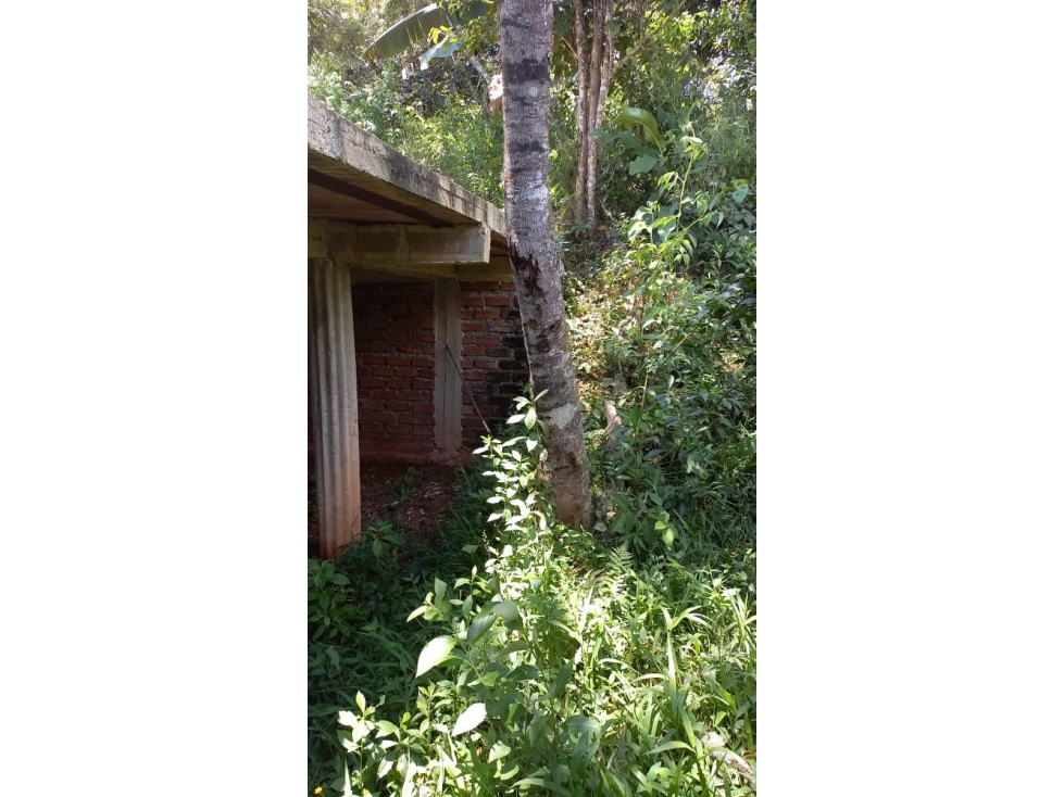 LOTE EN EL QUEREMAL EN VENTA W8240660JR - 2