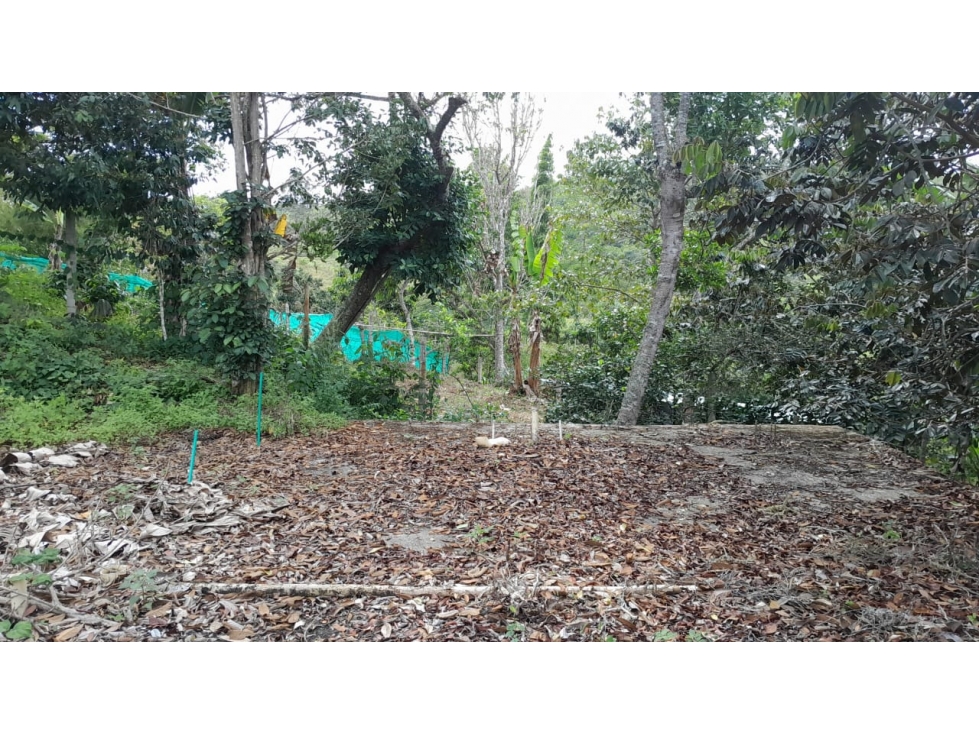 LOTE EN EL QUEREMAL EN VENTA W8240660JR - 5